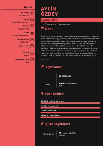 Güzellik Uzmanı Cv Örnekleri  cv indir